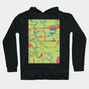 Snails on Parade fabric art in lime green Hoodie